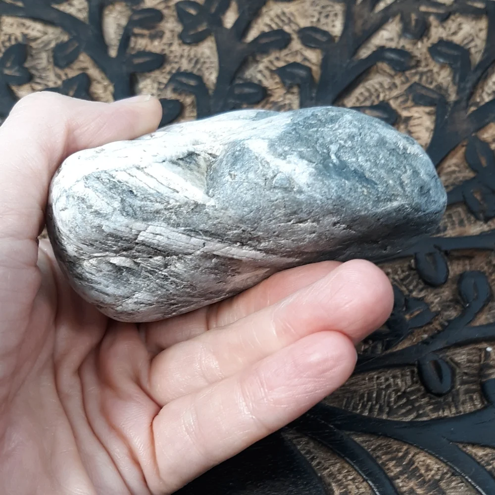 Maine Mottled Stone East Coast Lucky Beach Rock Raw Mineral Specimen Gray White